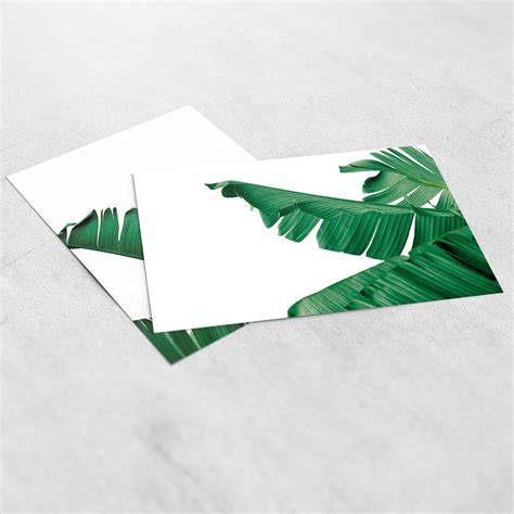 Set of 2 Banana Leaf Print Banana Leaf Print Banana Leaf - Etsy