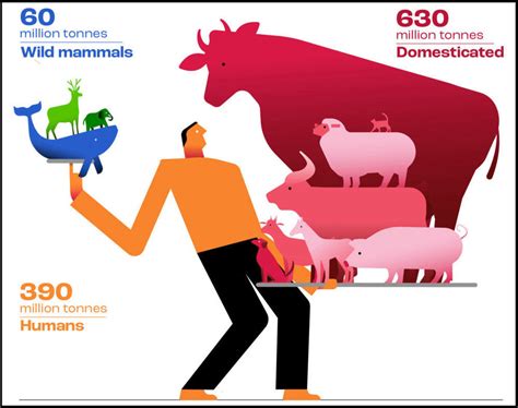 Total Weight of Wild Land Mammals Less Than One-Tenth Weight of All Humans - Yale E360