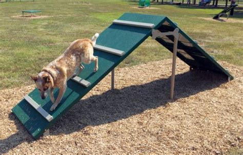 Dog Agility Equipment | American Parks Company