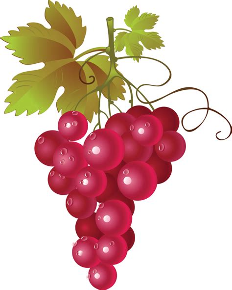 Grapes clipart 8 – Clipartix