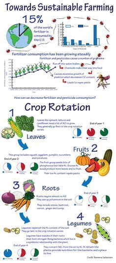 36 Best Crop Rotation ideas in 2022 | crop rotation, growing vegetables ...