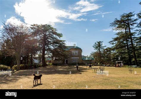 Chail Palace/The Palace Hotel Chail, Himachal Pradesh, India; 30 Dec 2018; a view of the ...