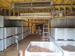 Guide to Proper Storage of Farm Produce and the Role of Storage in the ...