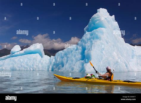 Kayaking in Bear Glacier Lagoon, Kenai Fjords National Park, near ...