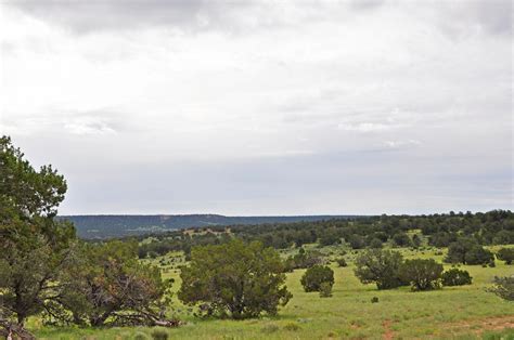 Pie Town, Catron County, NM Farms and Ranches, Recreational Property for sale Property ID ...