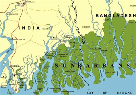 Resilience in post-disaster reconstruction: Local knowledge and practice in Sundarbans ...