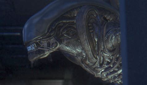 Alien: Isolation's Xenomorph Reacts to Player Actions, Decisions