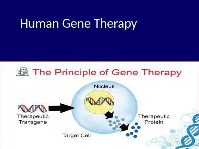 PPT - Human Gene Therapy Introduction PowerPoint Presentation