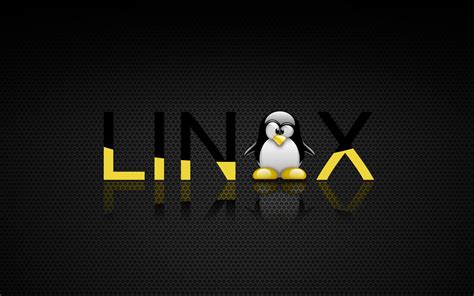 Linux Tux Wallpapers - Top Free Linux Tux Backgrounds - WallpaperAccess