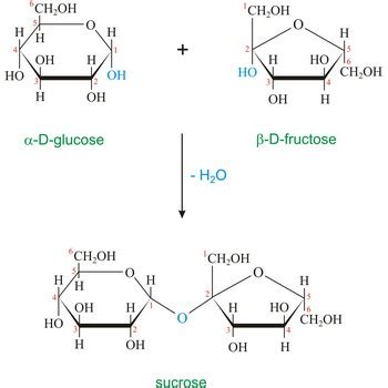 Sucrose @ Chemistry Dictionary & Glossary