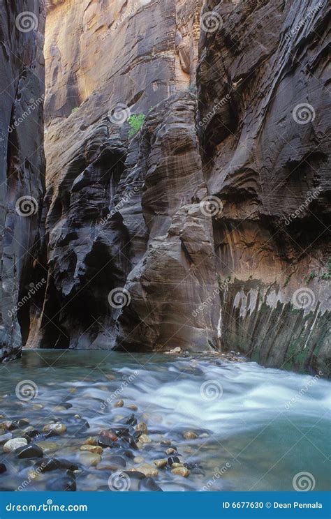 Virgin River Narrows stock photo. Image of rock, peaceful - 6677630