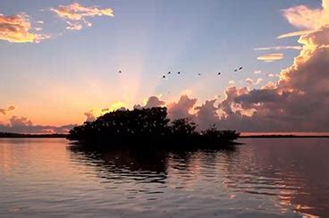 Rookery Bay | National Estuarine Research Reserve