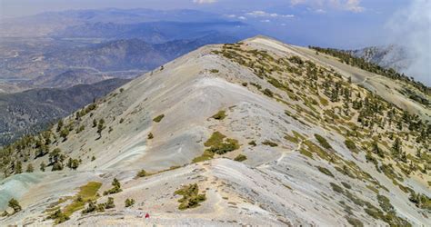 Mt Baldy Elevation