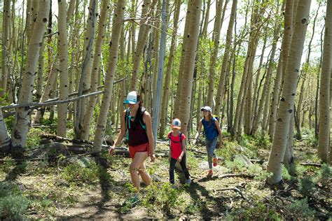 Boulder Top Trails [Hiking Guide & Info] | Visit Utah