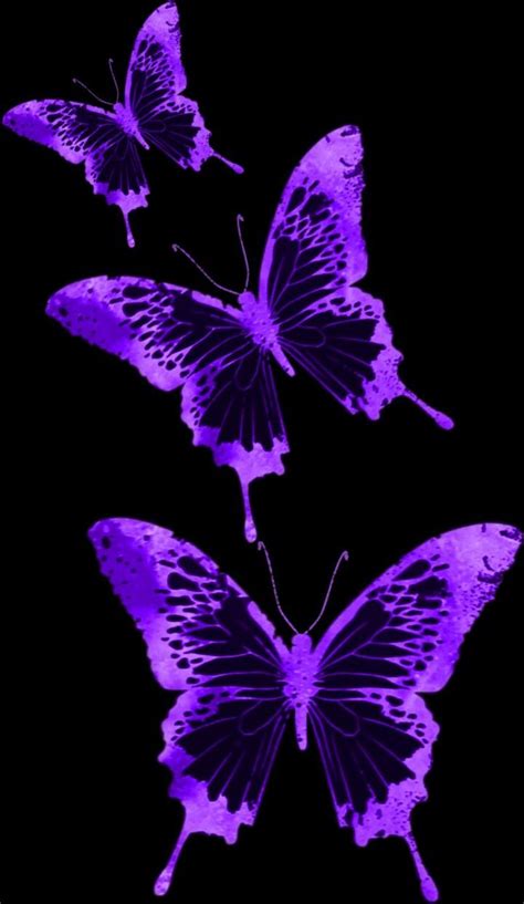 Wallpaper Neon Purple Butterfly Aesthetic Pictures | My XXX Hot Girl