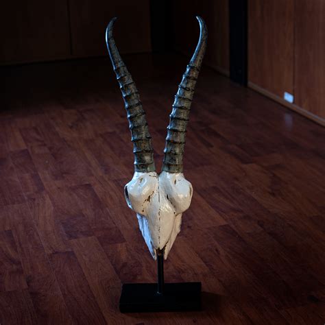 Antelope Skull - YTC Summit - Touch of Modern