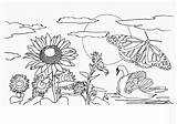 Coloring Pages For Adults Nature  Home sketch template