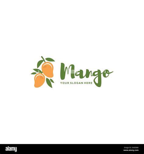 Modern MANGO fresh fruits leaf plants logo design Stock Vector Image ...