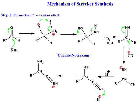 Strecker Synthesis of Amino Acid: Easy Mechanism, applications - Chemistry Notes