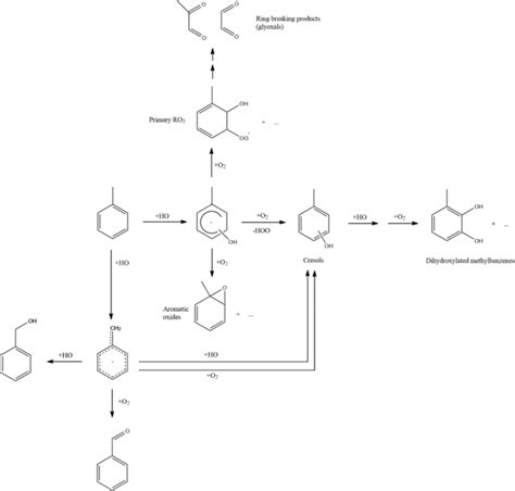 Possible reaction paths after primary attack of the hydroxyl radical on ...