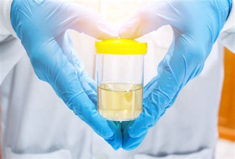 Can synthetic urine kits be used to pass drug tests? - Eicspain - Be Healthy and Live Healthy