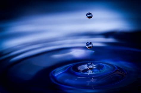 water, Drop, Macro, Nature, Macro, Zoom, Gouttes, Pluie Wallpapers HD ...