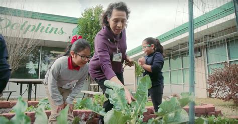 Texas AFT :Community school model transforms Houston elementary - Texas AFT