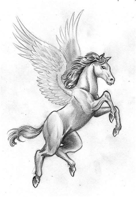 The winged horse by danbrenus on DeviantArt