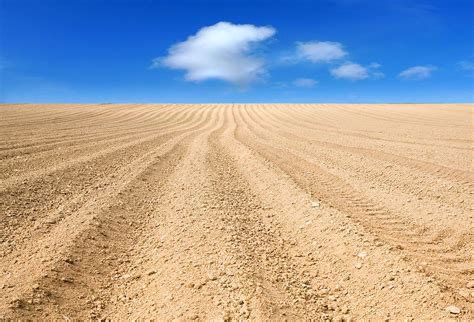 The Ploughed Field 2 Photograph by Mal Bray - Fine Art America