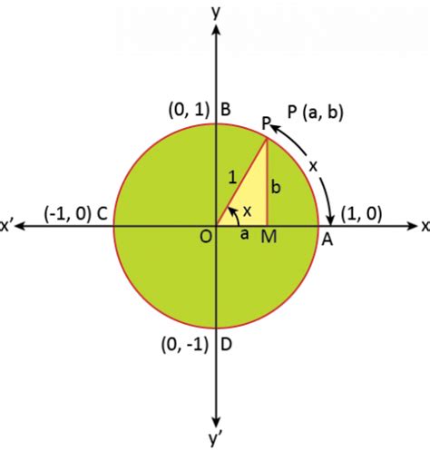 Cos 90 Degrees: Value of cos 90 with Proof, Examples and FAQ - mydomain