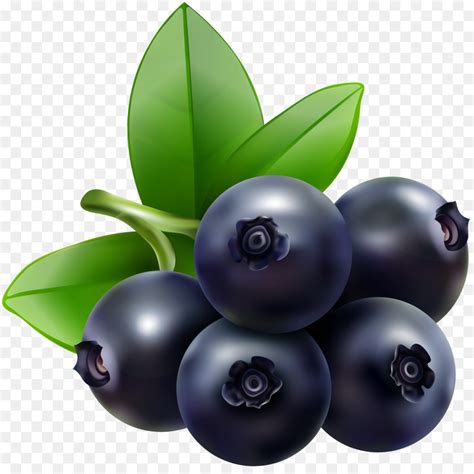 Blueberry clipart huckleberry, Blueberry huckleberry Transparent FREE for download on ...