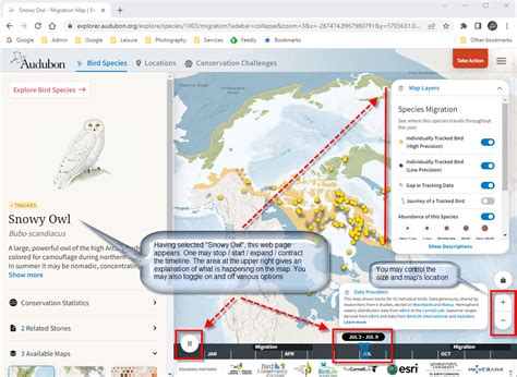 Audubon Migration Explorer: Review With Annotated Screenshots | 365 ...