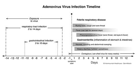 Adenovirus | Intermountain Healthcare