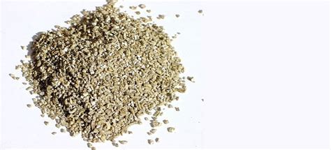 How to use vermiculite to germination?