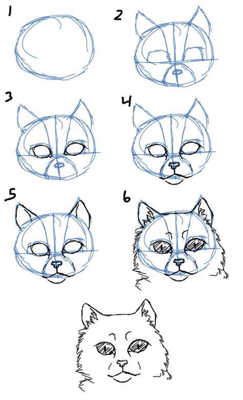 How to Draw Cat Faces/Heads- Front View | How to draw animals in 2019 | Drawings, Cat drawing ...