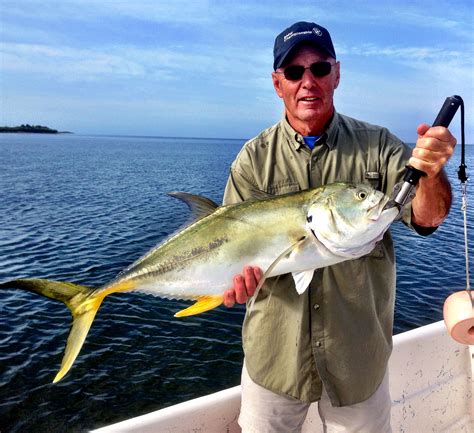 Jack Crevalle | Reel Florida Fishing Charters