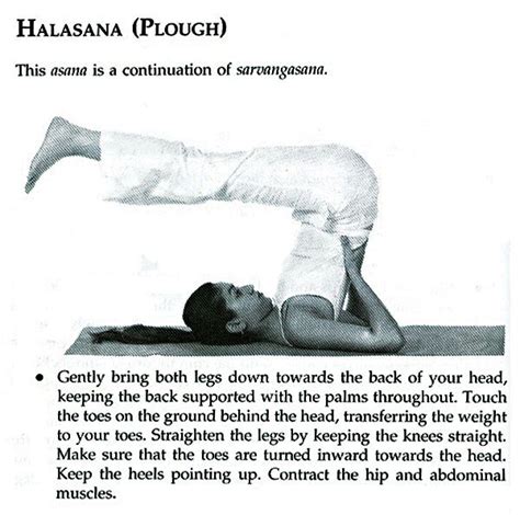 Yoga for Strength and Stamina