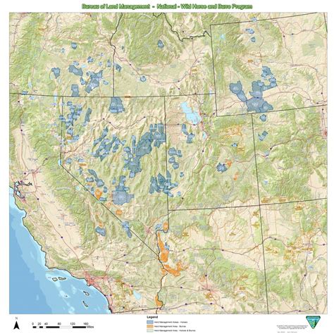 Herd Management Areas | Bureau of Land Management