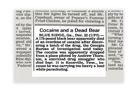 How A Bear Overdosed On Cocaine In 1985 And Inspired The Movie 'Cocaine Bear'