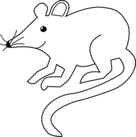 Download High Quality rat clipart outline Transparent PNG Images - Art Prim clip arts 2019