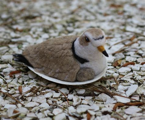 Needlefelted Nesting Piping Plover