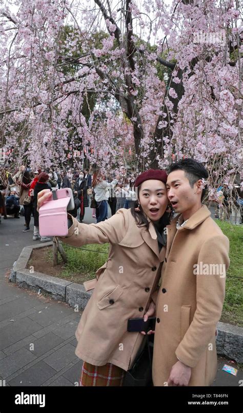 CHERRY BLOSSOM, TOKYO Stock Photo - Alamy