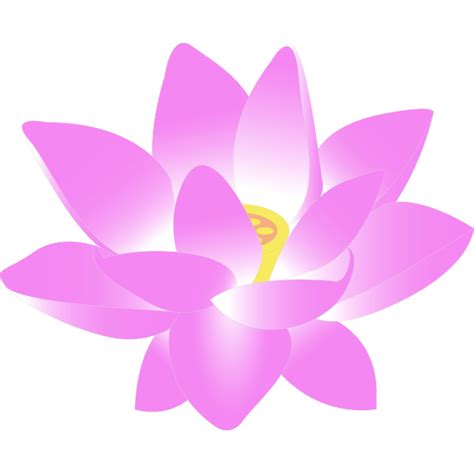 Vector clip art of lotus blossom | Free SVG