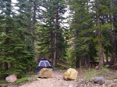 there is a tent in the woods near some rocks