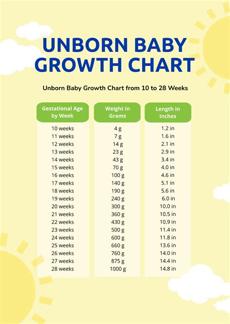 Free Unborn Baby Growth Chart Template - Edit Online & Download ...