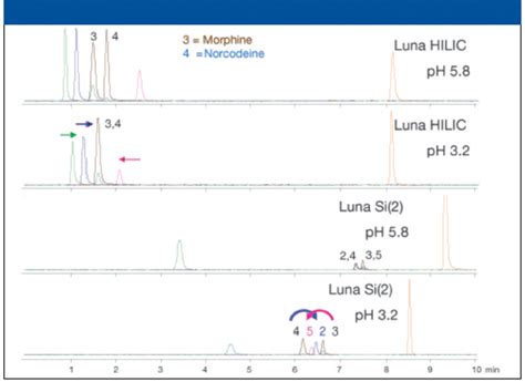 Structured Approach to Method Development for Bioanalytical HILIC–MS-MS ...