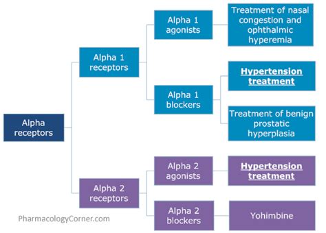 Alpha receptors - Pharmacology Corner