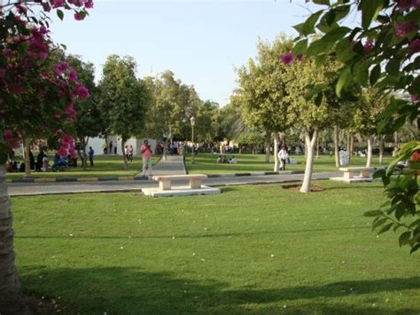 Sharjah National Park - 2021 All You Need to Know BEFORE You Go (with ...