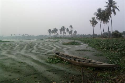 East Kolkata Wetlands lock down over 60 percent carbon from sewage: Study