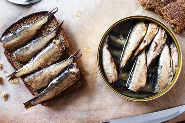 Are Canned Sardines Good for You? - NUTRITION LINE